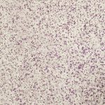 Purple Speckled Tissue Paper
